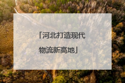 河北打造现代物流新高地