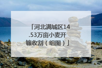 河北满城区14.53万亩小麦开镰收割（组图）