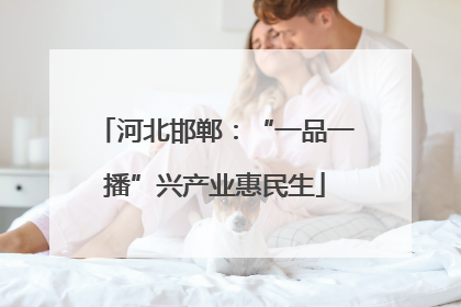 河北邯郸：“一品一播”兴产业惠民生