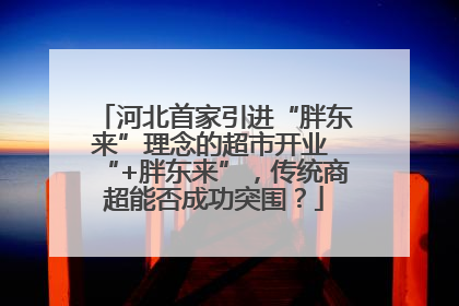 河北首家引进“胖东来”理念的超市开业 “+胖东来”，传统商超能否成功突围？