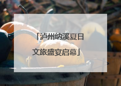 泸州纳溪夏日文旅盛宴启幕