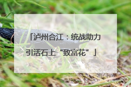 泸州合江：统战助力引活石上“致富花”