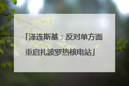 泽连斯基：反对单方面重启扎波罗热核电站