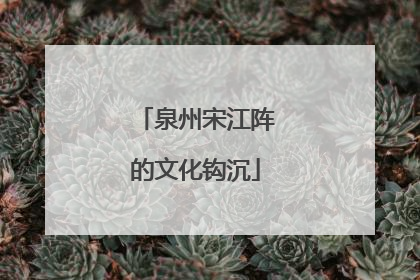 泉州宋江阵的文化钩沉