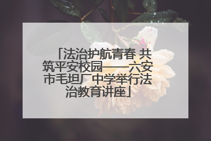 法治护航青春 共筑平安校园——六安市毛坦厂中学举行法治教育讲座
