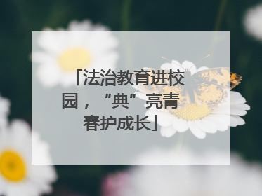 法治教育进校园，“典”亮青春护成长