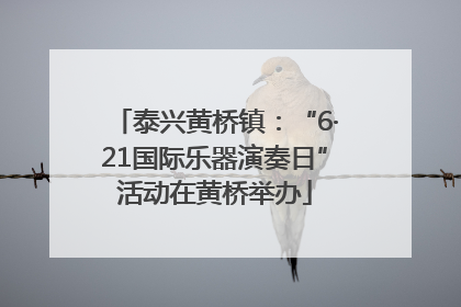 泰兴黄桥镇：“6·21国际乐器演奏日”活动在黄桥举办