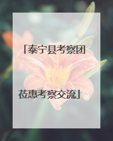 泰宁县考察团莅惠考察交流
