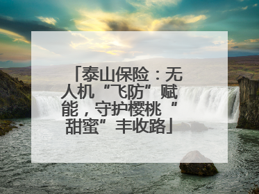 泰山保险：无人机“飞防”赋能，守护樱桃“甜蜜”丰收路