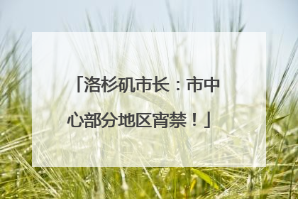 洛杉矶市长：市中心部分地区宵禁！
