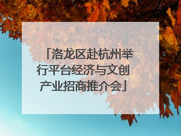 洛龙区赴杭州举行平台经济与文创产业招商推介会