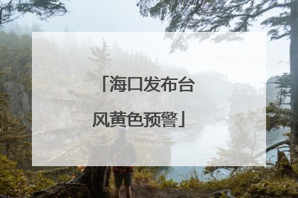 海口发布台风黄色预警