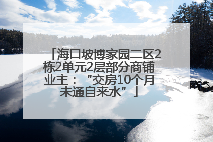 海口坡博家园二区2栋2单元2层部分商铺业主：“交房10个月未通自来水”