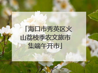 海口市秀英区火山荔枝季农文旅市集端午开市