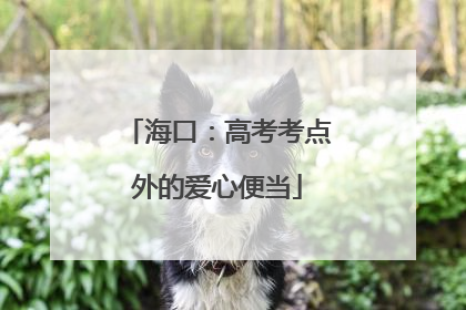 海口：高考考点外的爱心便当