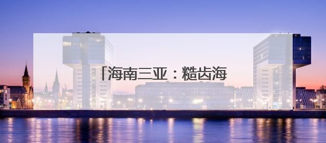 海南三亚：糙齿海豚被成功放归大海