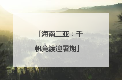 海南三亚：千帆竞渡迎暑期