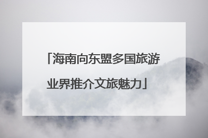 海南向东盟多国旅游业界推介文旅魅力