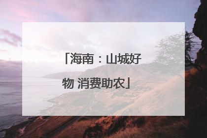 海南：山城好物 消费助农