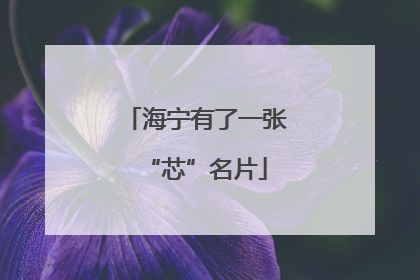 海宁有了一张“芯”名片