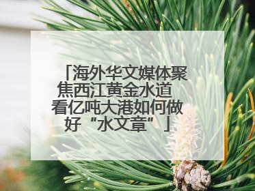 海外华文媒体聚焦西江黄金水道 看亿吨大港如何做好“水文章”