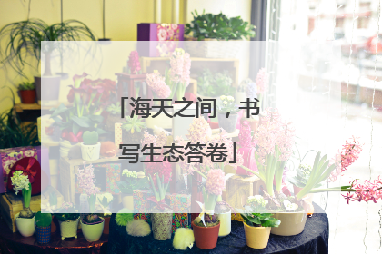 海天之间，书写生态答卷
