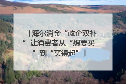 海尔消金“政企双补”让消费者从“想要买”到“买得起”