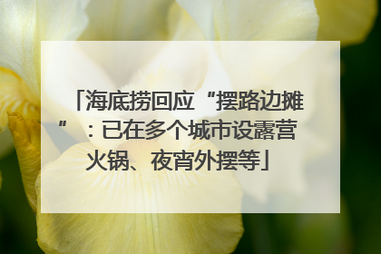 海底捞回应“摆路边摊”：已在多个城市设露营火锅、夜宵外摆等