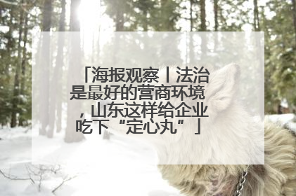 海报观察丨法治是最好的营商环境，山东这样给企业吃下“定心丸”