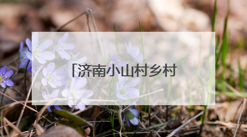 济南小山村乡村民俗圈粉南非农业旅游考察团