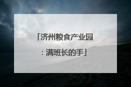 济州粮食产业园：满班长的手
