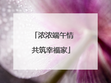 浓浓端午情 共筑幸福家