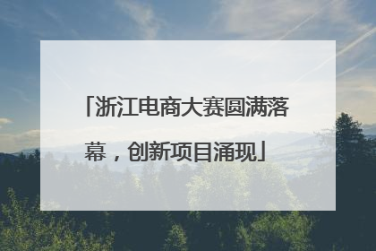 浙江电商大赛圆满落幕，创新项目涌现