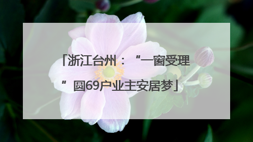 浙江台州：“一窗受理”圆69户业主安居梦