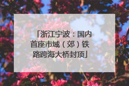 浙江宁波：国内首座市域（郊）铁路跨海大桥封顶