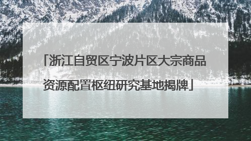 浙江自贸区宁波片区大宗商品资源配置枢纽研究基地揭牌