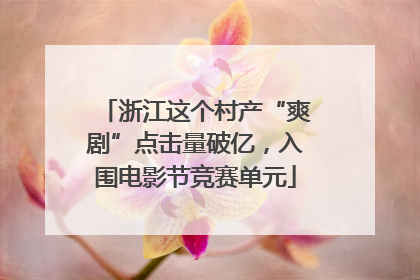 浙江这个村产“爽剧”点击量破亿，入围电影节竞赛单元