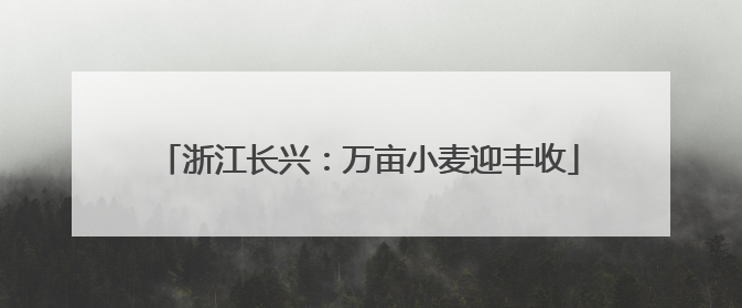 浙江长兴：万亩小麦迎丰收