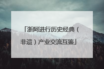 浙阿进行历史经典（非遗）产业交流互鉴