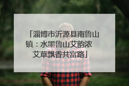 淄博市沂源县南鲁山镇：水墨鲁山艾韵浓 艾草飘香共富路