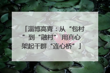 淄博高青：从“包村”到“融村” 用真心架起干群“连心桥”