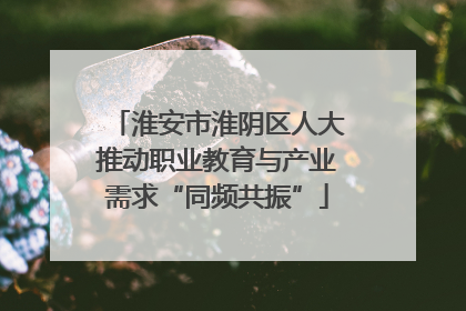 淮安市淮阴区人大推动职业教育与产业需求“同频共振”