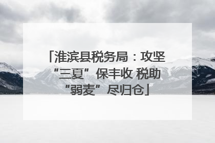 淮滨县税务局：攻坚“三夏”保丰收 税助“弱麦”尽归仓