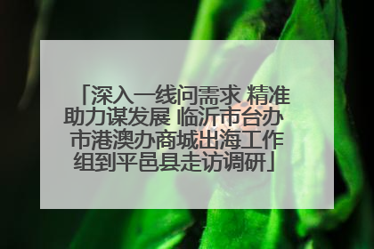 深入一线问需求 精准助力谋发展 临沂市台办 市港澳办商城出海工作组到平邑县走访调研