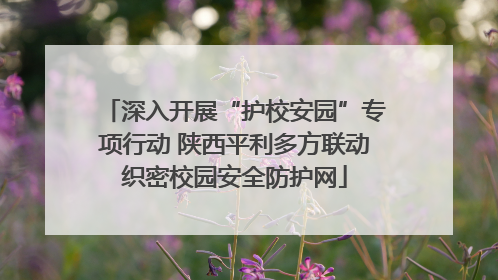 深入开展“护校安园”专项行动 陕西平利多方联动织密校园安全防护网
