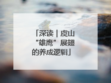 深读｜虞山“雄鹰”展翅的养成逻辑