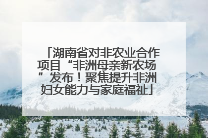 湖南省对非农业合作项目“非洲母亲新农场”发布！聚焦提升非洲妇女能力与家庭福祉