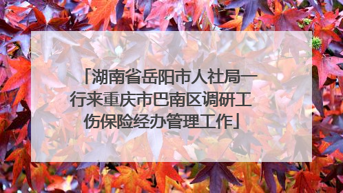 湖南省岳阳市人社局一行来重庆市巴南区调研工伤保险经办管理工作