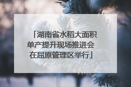 湖南省水稻大面积单产提升现场推进会在屈原管理区举行