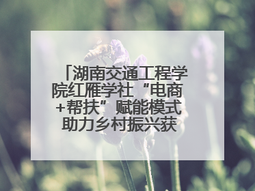 湖南交通工程学院红雁学社“电商+帮扶”赋能模式 助力乡村振兴获帮扶乡镇好评